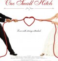 One Small Hitch (2013)