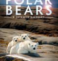 Polar Bears: A Summer Odyssey (2012)