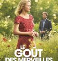 Le Goût des merveilles (2015)