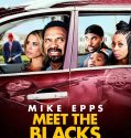 Meet the Blacks (2016)