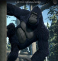 Kong King of the Apes (2016-)