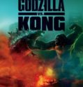 Godzilla vs. Kong (2021)